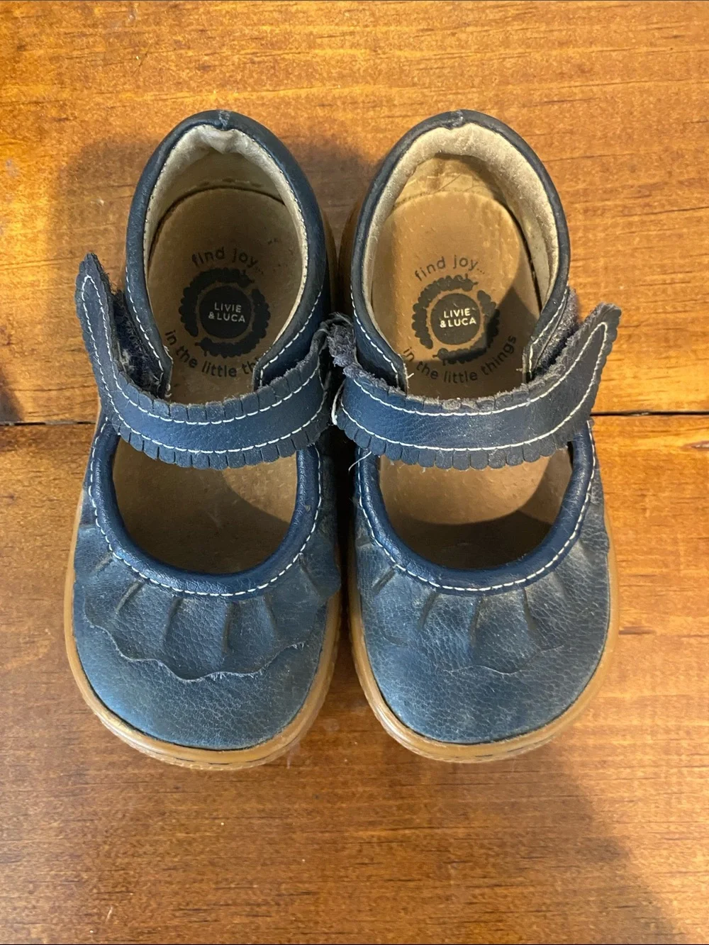 Livie & Luca Navy Blue Leather Mary Jane Shoes